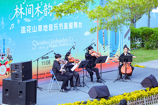 林间木韵 风与弦歌