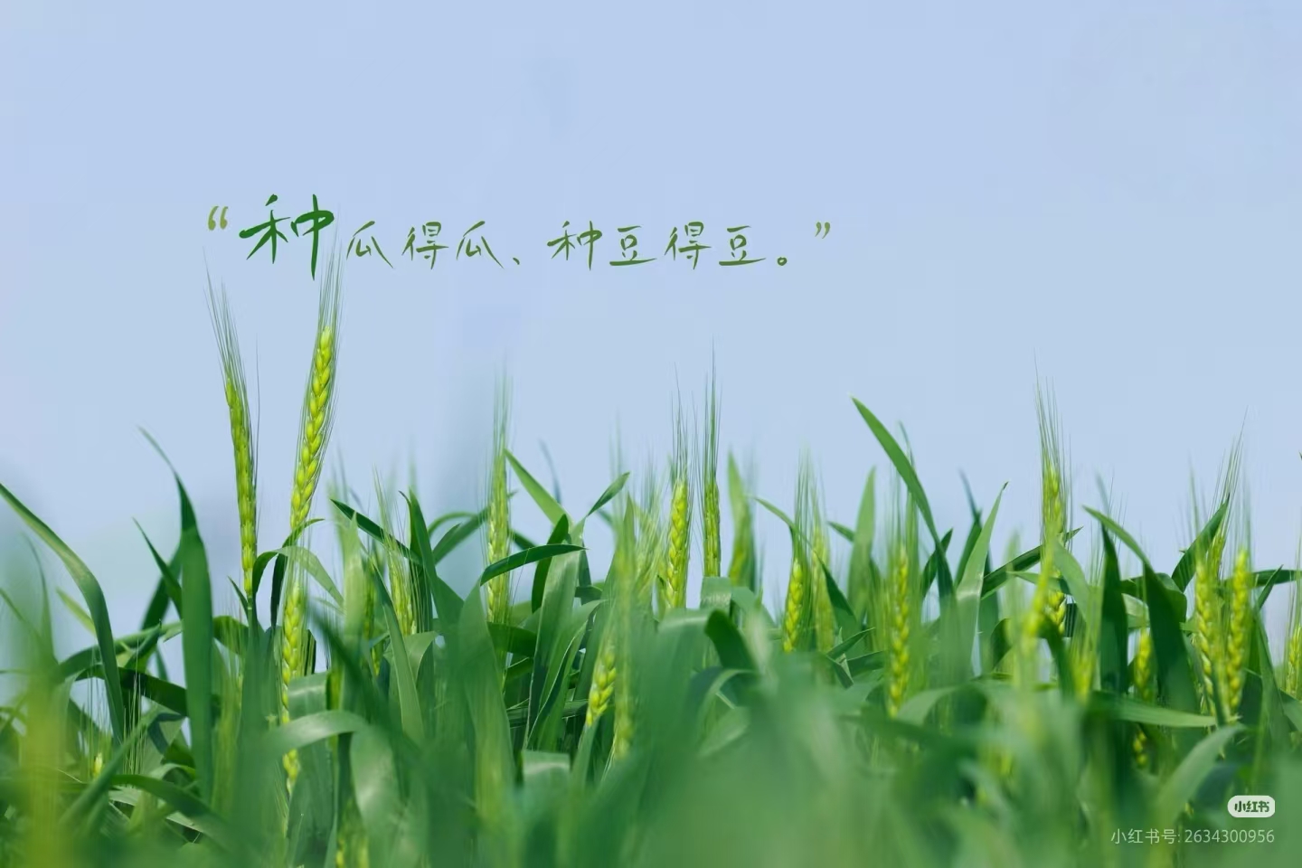心目中的神级名场面