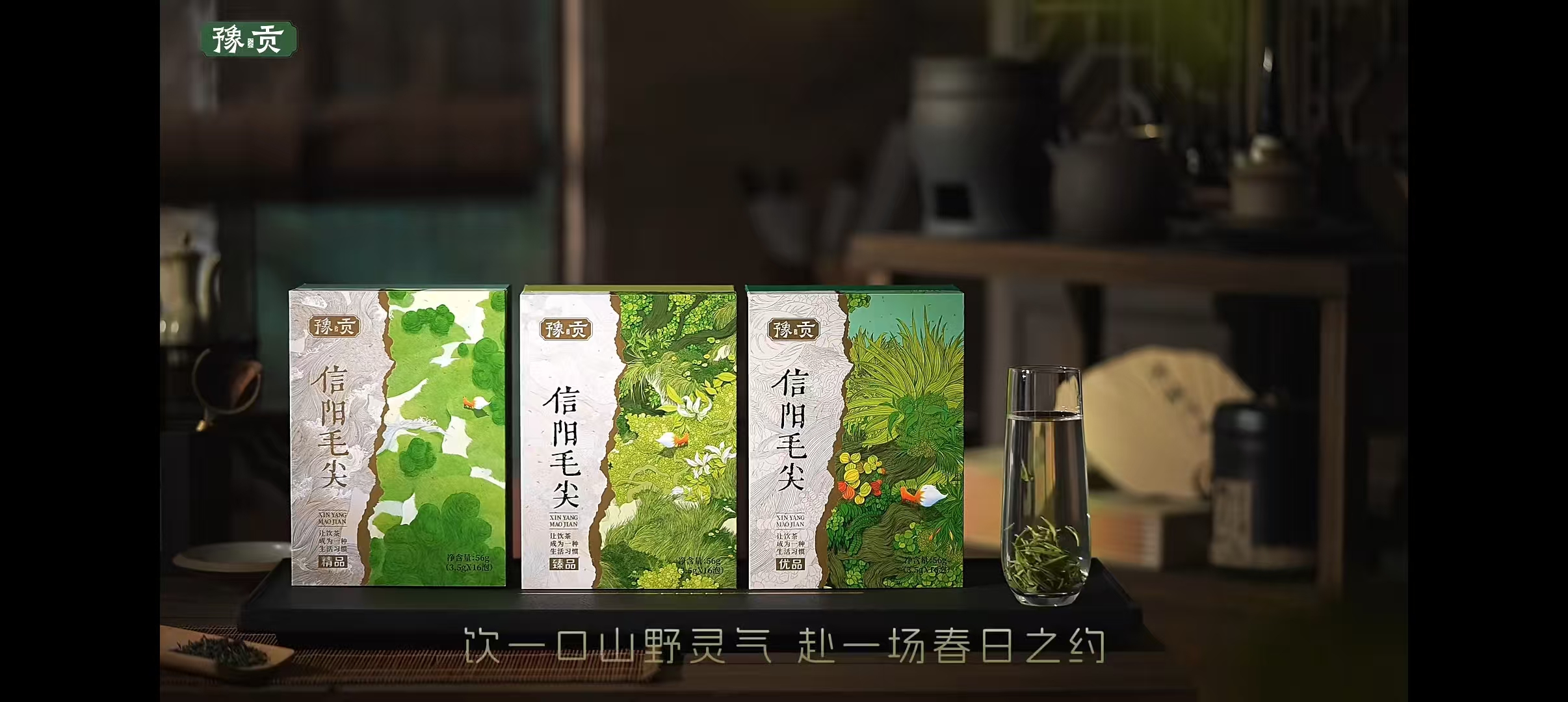 信阳毛尖